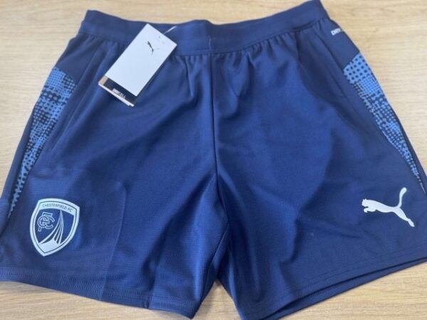 Adults Training Shorts